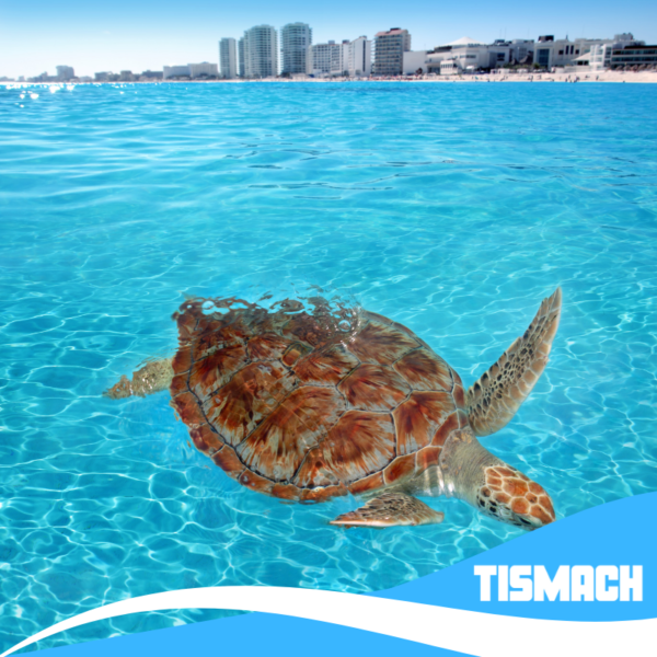 Pacote Cancún All Inclusive - Imagem 7